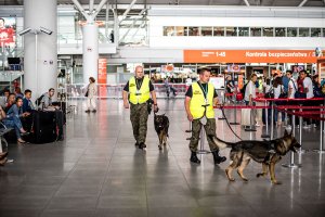 Przewodnicy z psami służbowymi patrolują halę terminala lotniska. Przewodnicy z psami służbowymi patrolują halę terminala lotniska.