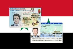Wzór węgierskiego i francuskiego ID na tle syryjskiej flagi Wzór węgierskiego i francuskiego ID na tle syryjskiej flagi