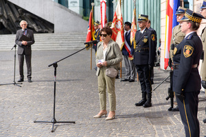 Przemawia Pani Bogna Gapleryn. Przemawia Pani Bogna Gapleryn.