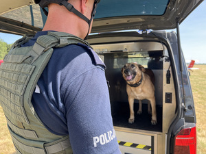 Przewodnik psa służbowego Policji stoi przed bagażnikiem samochodu, w którym znajduję się Jego podopieczny. Przewodnik psa służbowego Policji stoi przed bagażnikiem samochodu, w którym znajduję się Jego podopieczny.