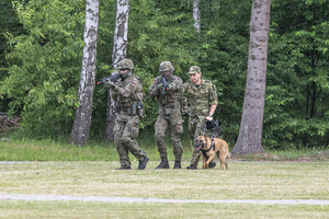 Żołnierze WOT osłaniają przewodnika i psa służbowego Straży Granicznej. Żołnierze WOT osłaniają przewodnika i psa służbowego Straży Granicznej.