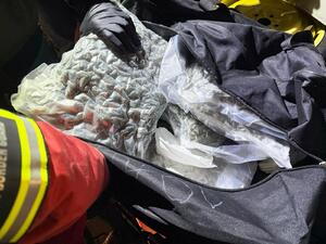 Funkcjonariusze stoją przy otwartym bagażniku, w środku widoczne zapakowane narkotyki. Funkcjonariusze stoją przy otwartym bagażniku, w środku widoczne zapakowane narkotyki.