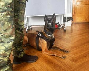 Spotkanie funkcjonariuszy z uczniami. Spotkanie funkcjonariuszy z uczniami.