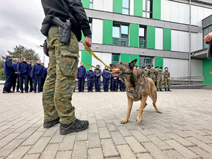 Wizyta uczniów z Grudziądza w Komendzie NwOSG. Wizyta uczniów z Grudziądza w Komendzie NwOSG.