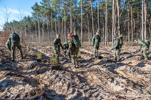 Obchody Dnia Ziemi. Obchody Dnia Ziemi.