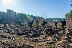 Obchody Dnia Ziemi. Obchody Dnia Ziemi.