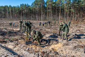 Obchody Dnia Ziemi. Obchody Dnia Ziemi.
