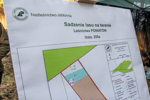 Obchody Dnia Ziemi. Obchody Dnia Ziemi.