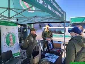 Festiwal zawodów. Festiwal zawodów.